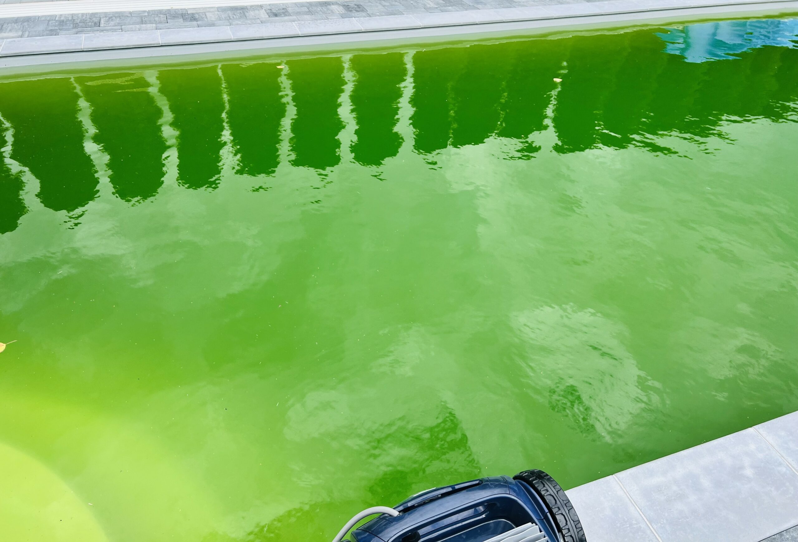 Zielona woda w basenie – dlaczego?